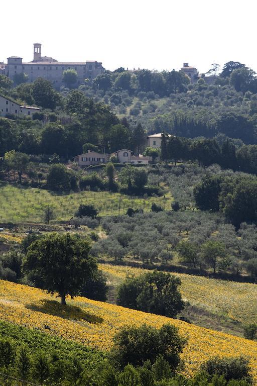 Agriturismo Il Girasole Montefalco Eksteriør bilde
