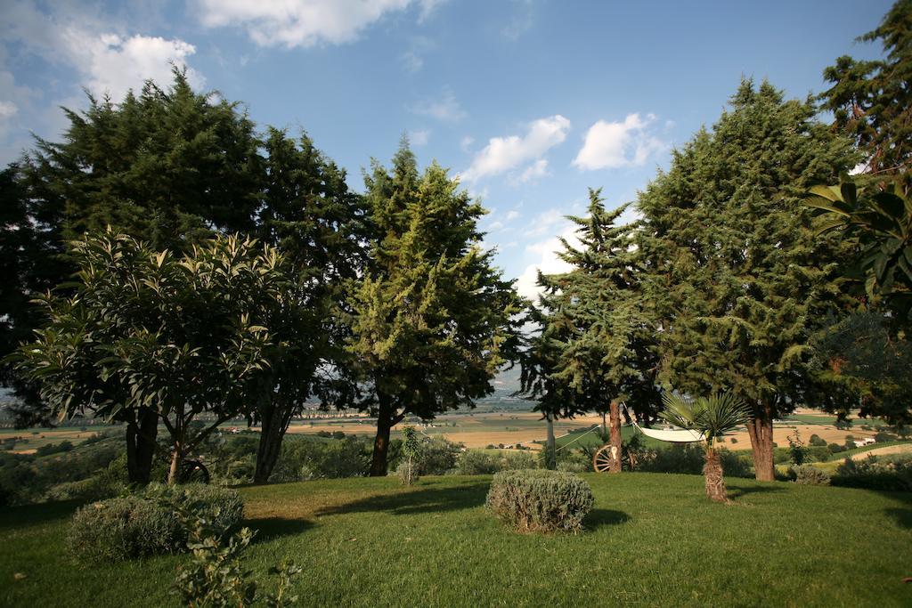 Agriturismo Il Girasole Montefalco Rom bilde