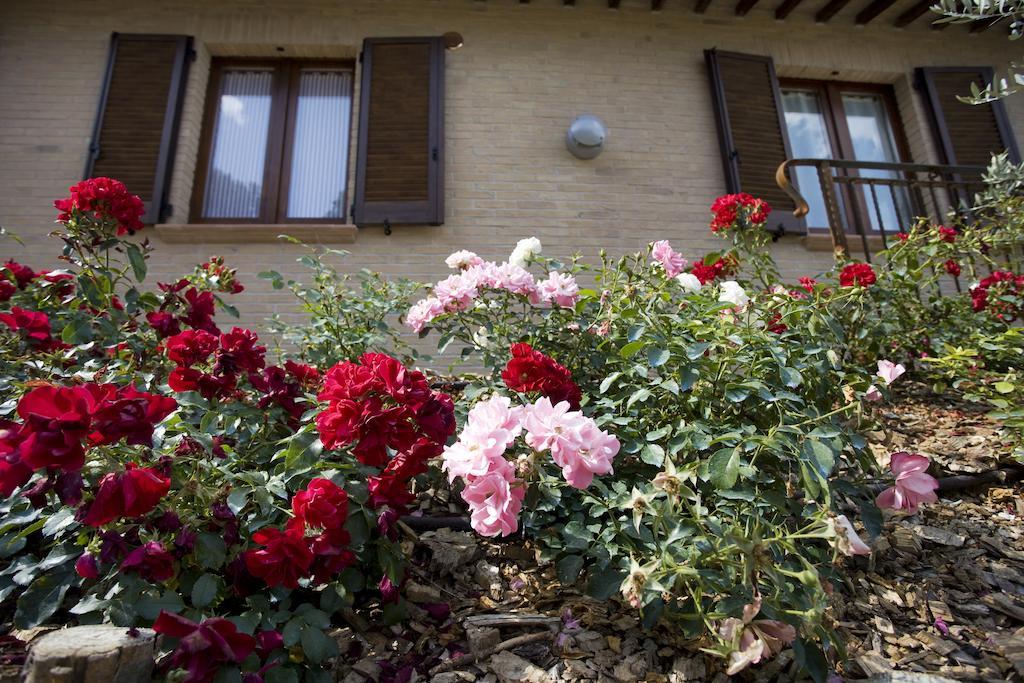 Agriturismo Il Girasole Montefalco Rom bilde