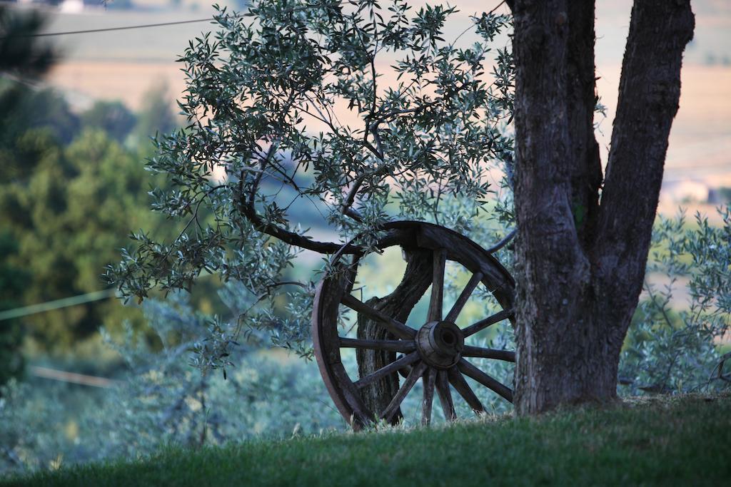 Agriturismo Il Girasole Montefalco Eksteriør bilde