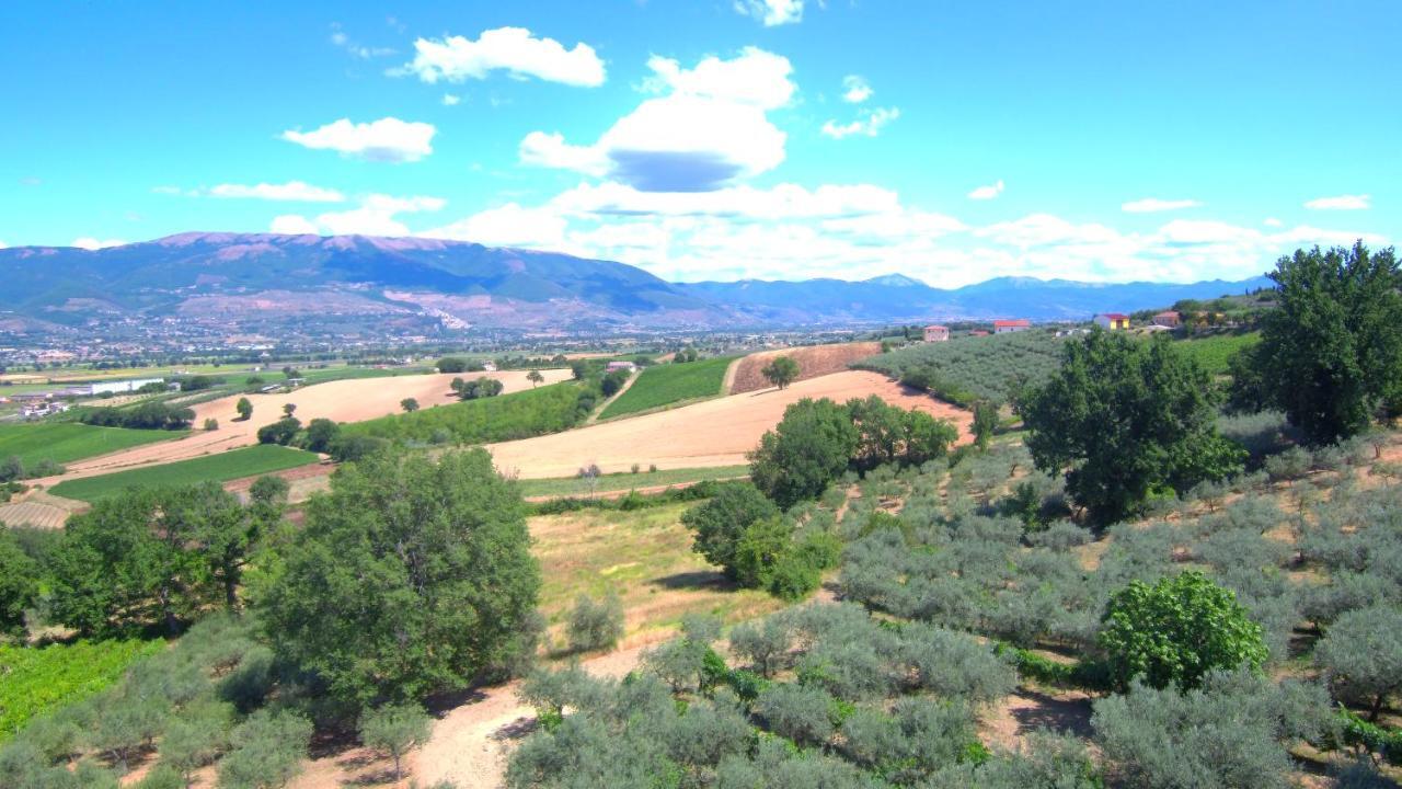 Agriturismo Il Girasole Montefalco Eksteriør bilde